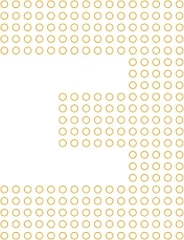 Ilustração para o número 2